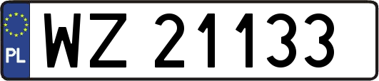 WZ21133