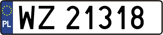 WZ21318