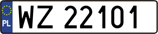 WZ22101
