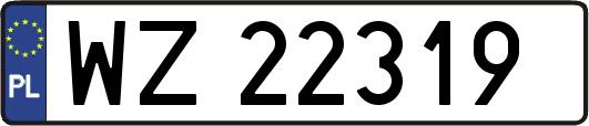 WZ22319