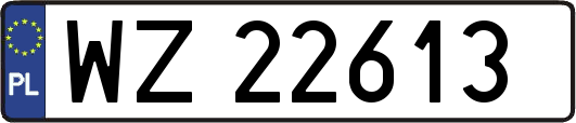 WZ22613