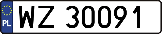 WZ30091