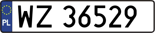 WZ36529