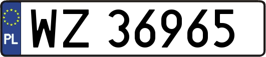 WZ36965