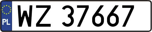 WZ37667