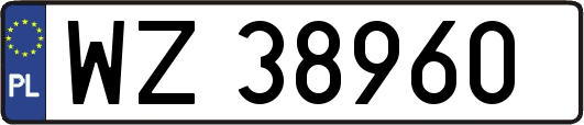 WZ38960