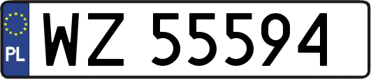 WZ55594