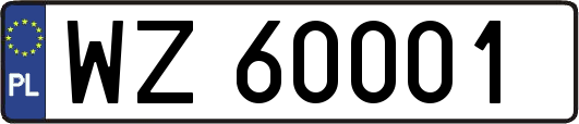 WZ60001