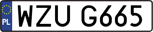 WZUG665