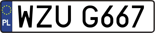 WZUG667