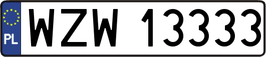 WZW13333