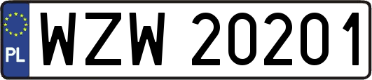 WZW20201