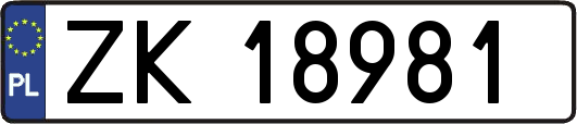 ZK18981