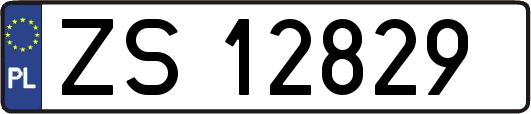 ZS12829