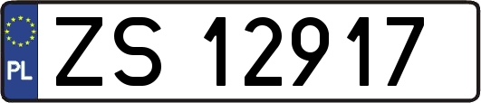 ZS12917