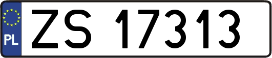 ZS17313