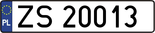 ZS20013
