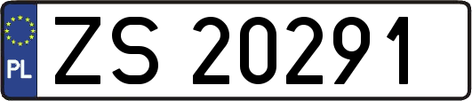 ZS20291