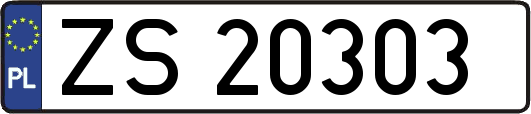 ZS20303