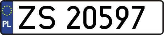 ZS20597
