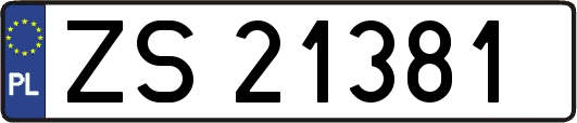 ZS21381