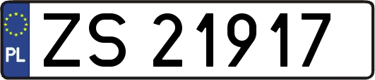 ZS21917