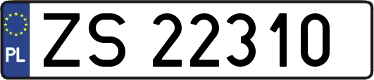 ZS22310