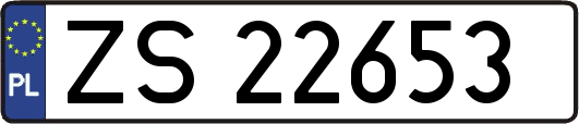 ZS22653