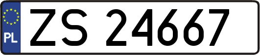 ZS24667