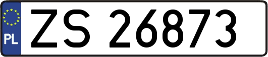 ZS26873