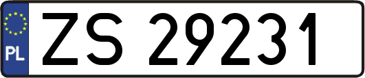 ZS29231