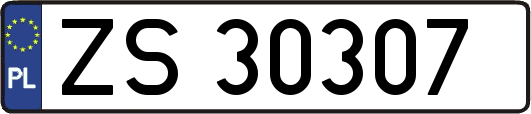 ZS30307