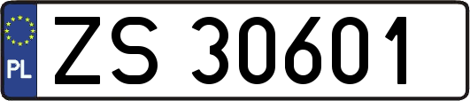 ZS30601