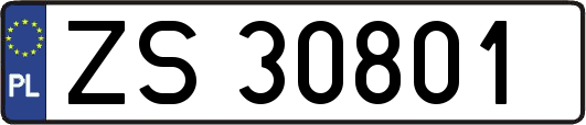 ZS30801