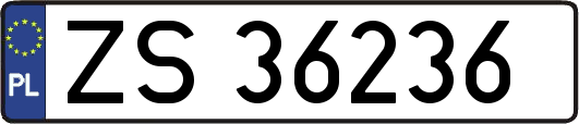 ZS36236