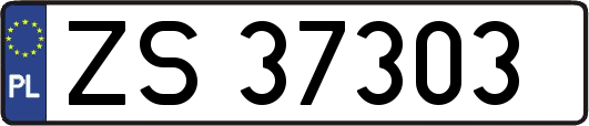 ZS37303