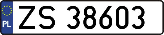 ZS38603