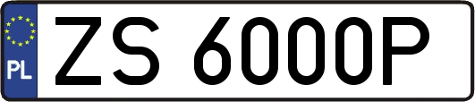 ZS6000P