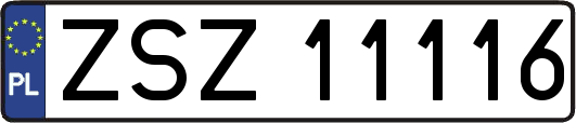 ZSZ11116