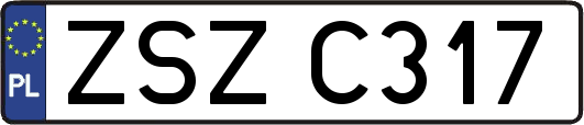 ZSZC317