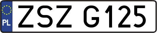 ZSZG125