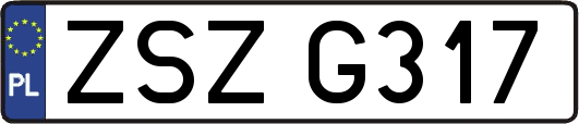 ZSZG317