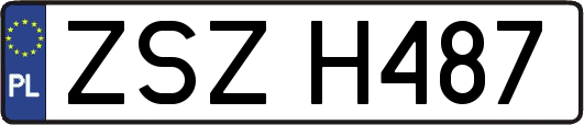ZSZH487