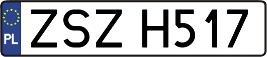 ZSZH517