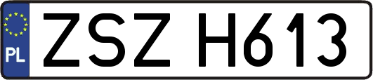 ZSZH613