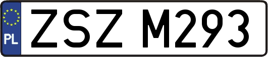 ZSZM293