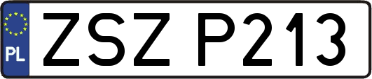 ZSZP213