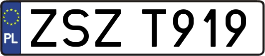 ZSZT919
