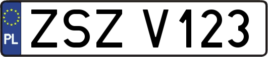 ZSZV123