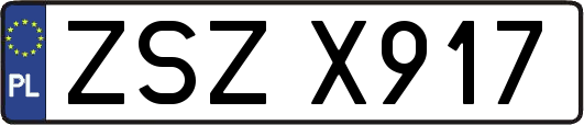 ZSZX917